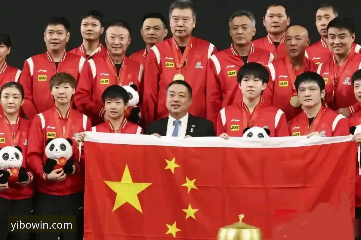 乒乓球世锦赛观赛必备技巧：从伦敦赛场看中国男乒的制胜之道